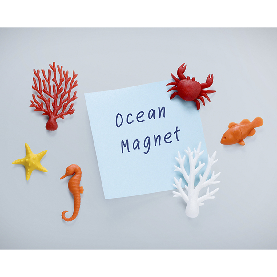 Магниты Ocean Ecology — изображение 2